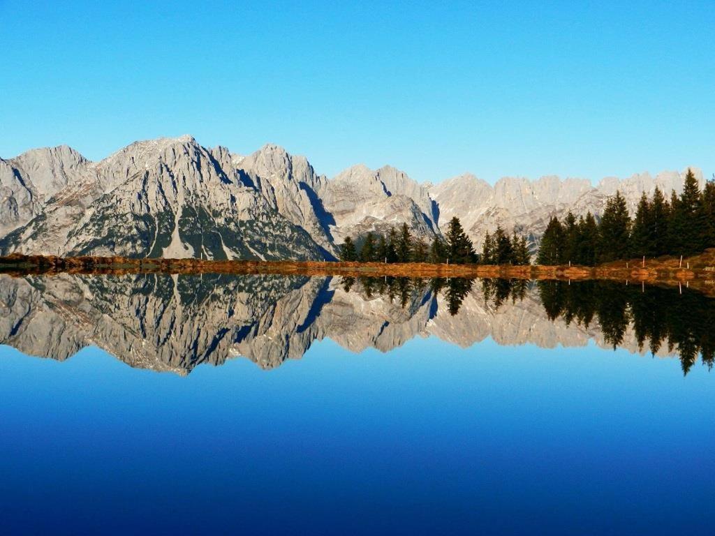 Ferienwohnungen Salvenmoser Johanna Шеффау-ам-Вільден-Кайзер Екстер'єр фото