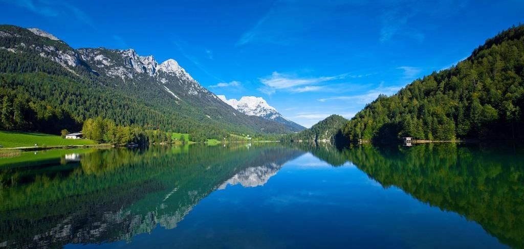 Ferienwohnungen Salvenmoser Johanna Шеффау-ам-Вільден-Кайзер Екстер'єр фото
