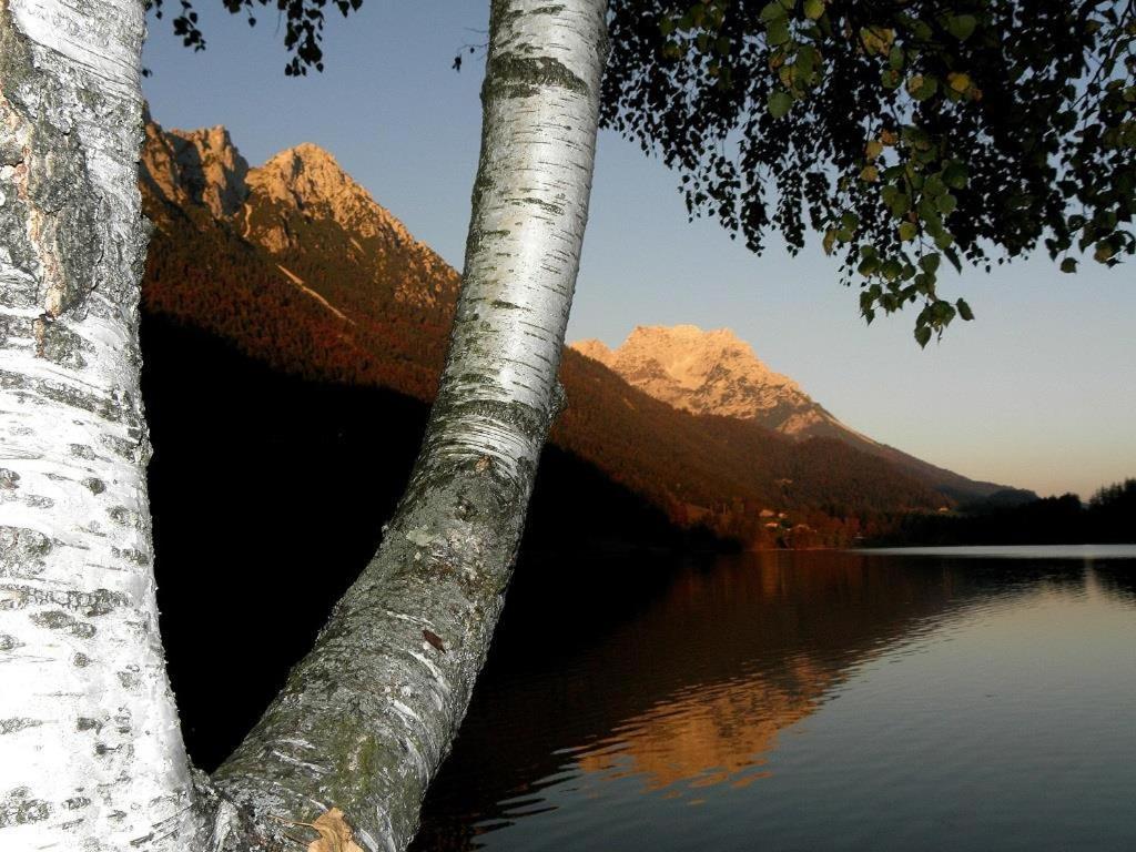Ferienwohnungen Salvenmoser Johanna Шеффау-ам-Вільден-Кайзер Екстер'єр фото
