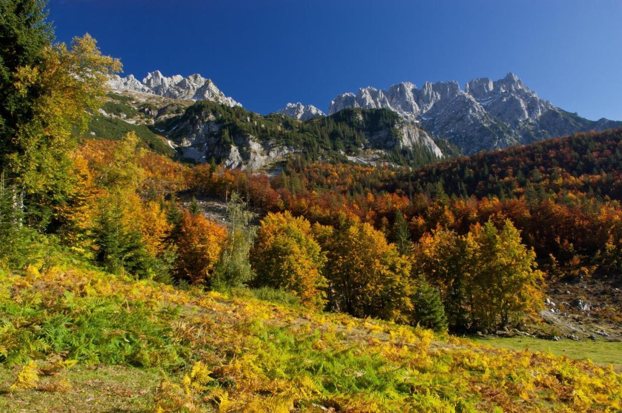 Ferienwohnungen Salvenmoser Johanna Шеффау-ам-Вільден-Кайзер Екстер'єр фото